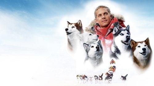 Eight Below filmas žiurėti online