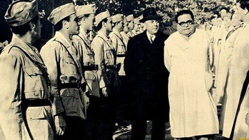 Crazy Things filmas žiurėti online