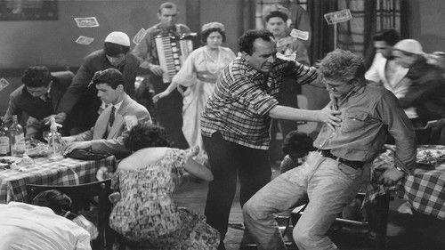 Krst Rakoc filmas žiurėti online