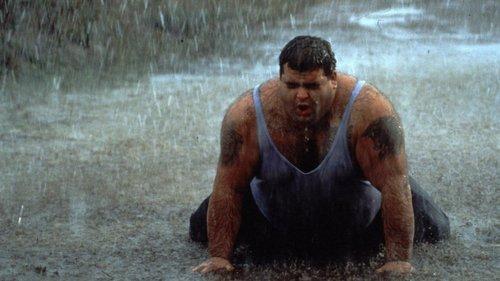 Sumo Bruno filmas žiurėti online