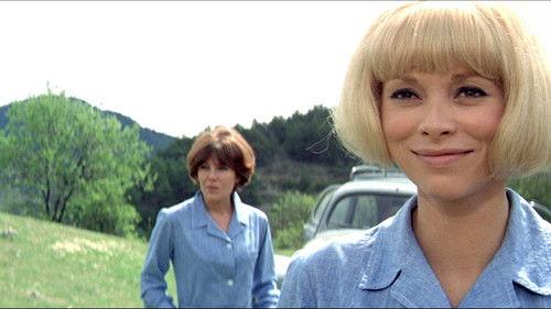 Sorrel Flower filmas žiurėti online