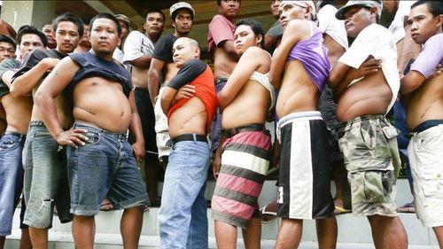 Tales from the Organ Trade filmas žiurėti online