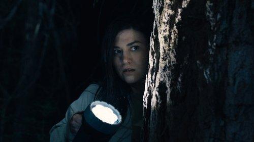 Stranger in the Woods filmas žiurėti online