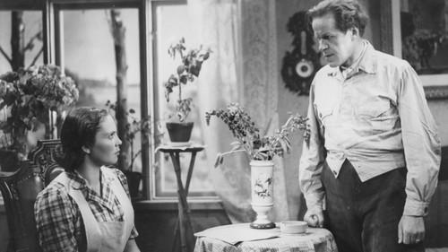 Yrjänän emännän synti filmas žiurėti online