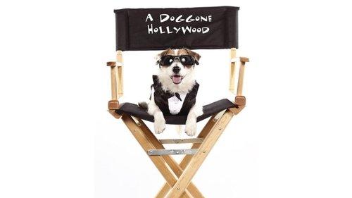 A Doggone Hollywood filmas žiurėti online