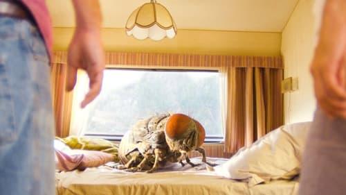 Toro filmas žiurėti online