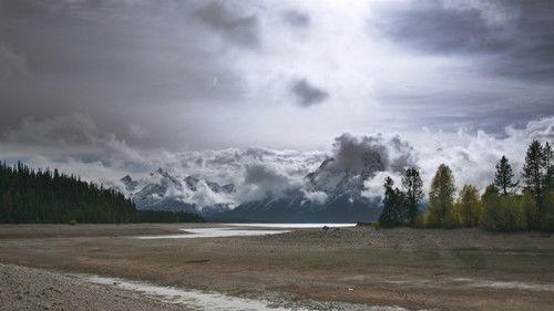 Population Zero filmas žiurėti online