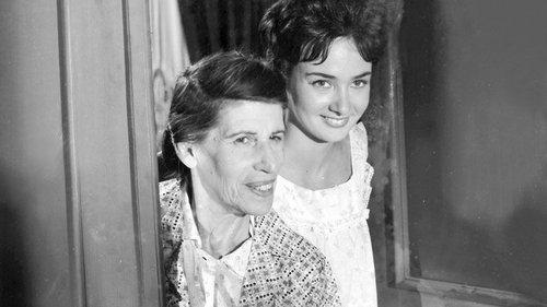 The Treasure of the Beatitude filmas žiurėti online