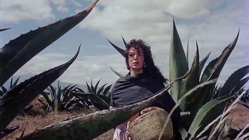 La escondida filmas žiurėti online