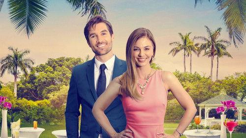 The Love Gala filmas žiurėti online