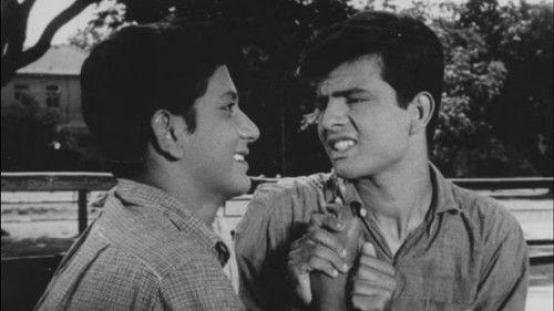 Dosti filmas žiurėti online