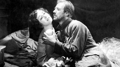 Homecoming filmas žiurėti online