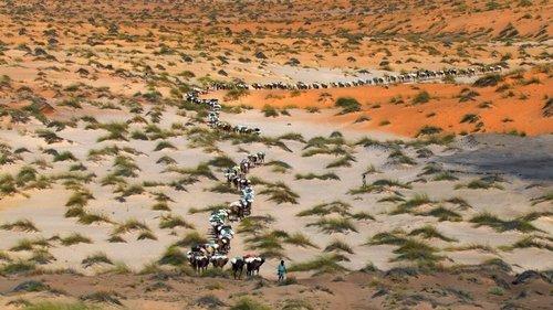 Namai filmas žiurėti online