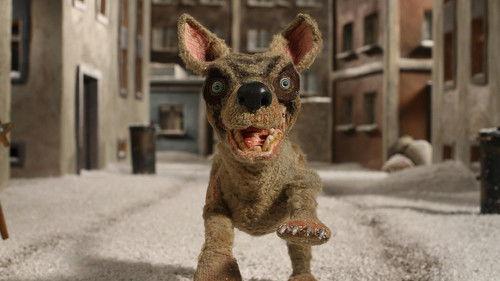 Lajka filmas žiurėti online