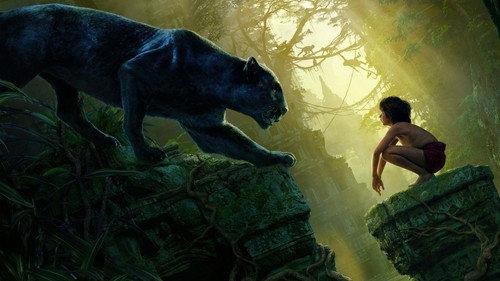 Džiunglių knyga filmas žiurėti online
