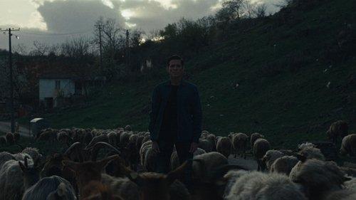 Kuća od blata filmas žiurėti online