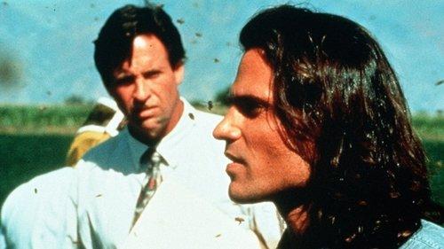 Deadly Invasion: The Killer Bee Nightmare filmas žiurėti online