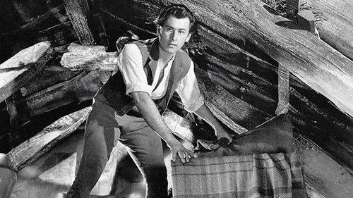 Captain Boycott filmas žiurėti online