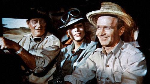 Hatari! filmas žiurėti online