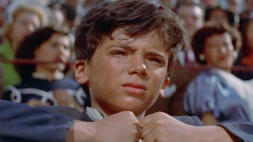 The Brave One filmas žiurėti online