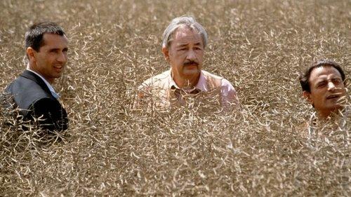 Tango filmas žiurėti online