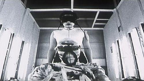 Rubber's Lover filmas žiurėti online