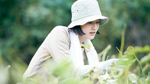 Little Forest: Summer/Autumn filmas žiurėti online