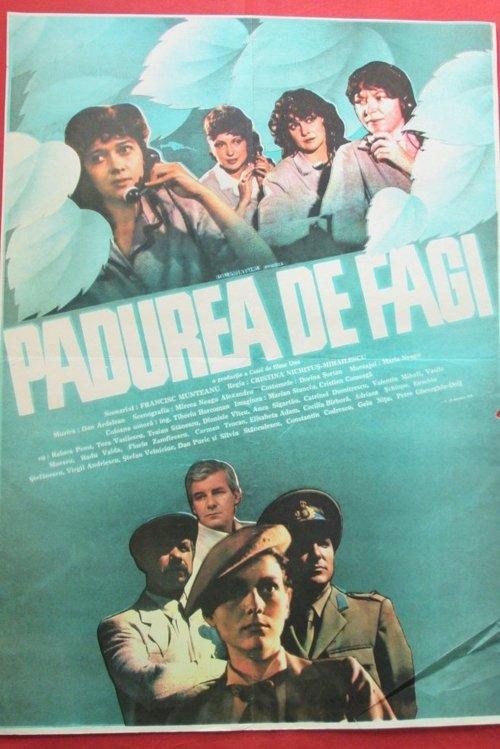 Pădurea de fagi filmas online