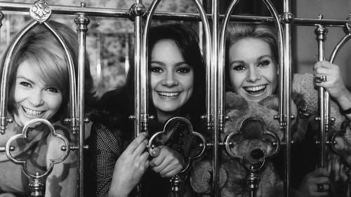 The Pleasure Girls filmas žiurėti online