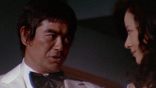 The Street Fighter's Last Revenge filmas žiurėti online