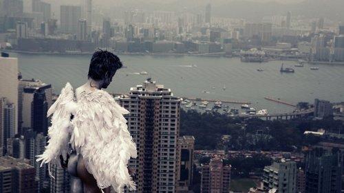 Amphetamine filmas žiurėti online