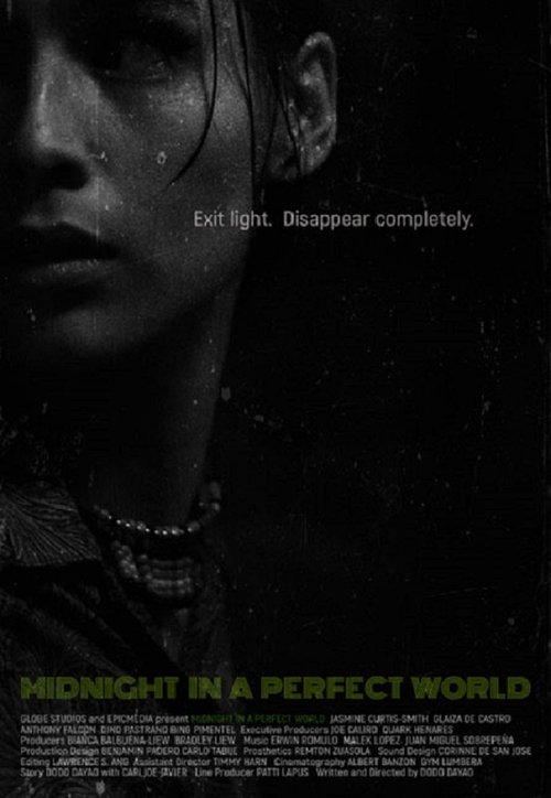 Midnight in a Perfect World filmas online