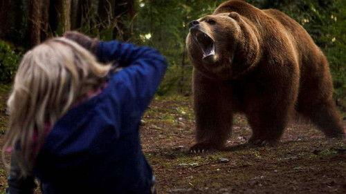 Grizzly Rage filmas žiurėti online