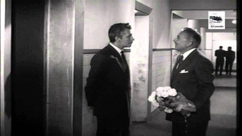 Ama a tu prójimo filmas žiurėti online