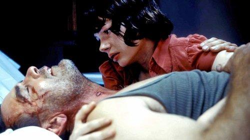 Land of Plenty filmas žiurėti online