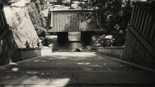 I Are You, You Am Me filmas žiurėti online