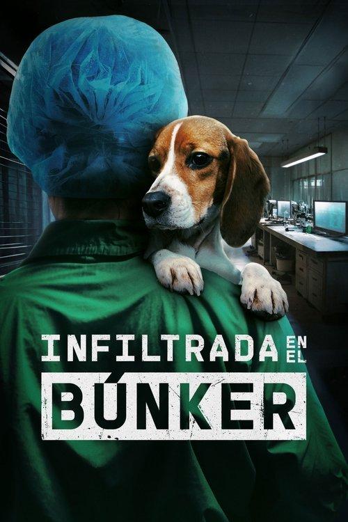 Infiltrada en el búnker filmas online