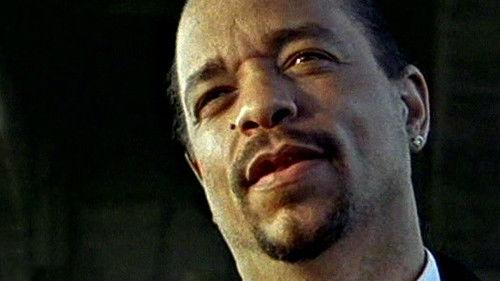 Out Kold filmas žiurėti online