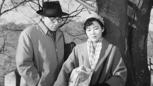 Madame Freedom filmas žiurėti online