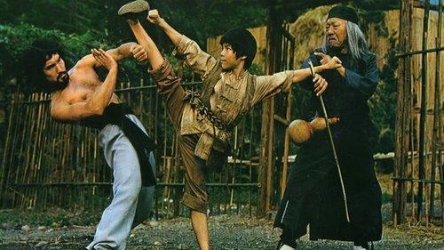 Sleeping Fist filmas žiurėti online