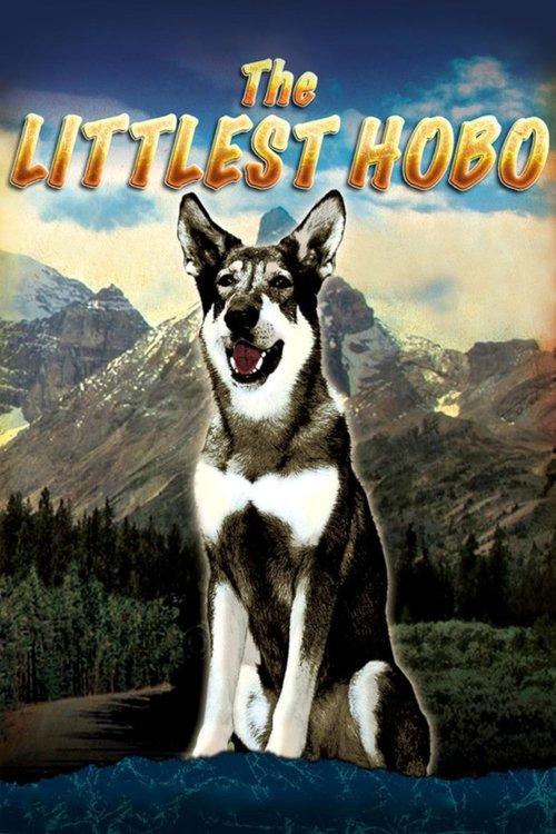 The Littlest Hobo filmas online