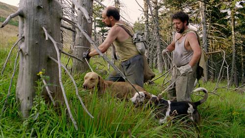 Vaterland: A Hunting Logbook filmas žiurėti online