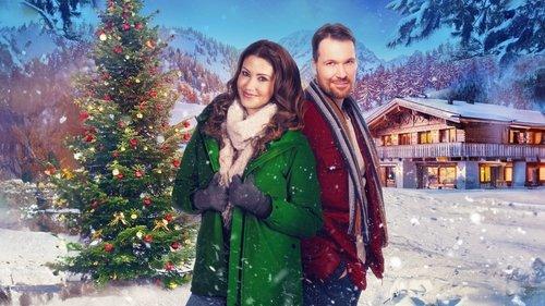 A Home for the Holidays filmas žiurėti online