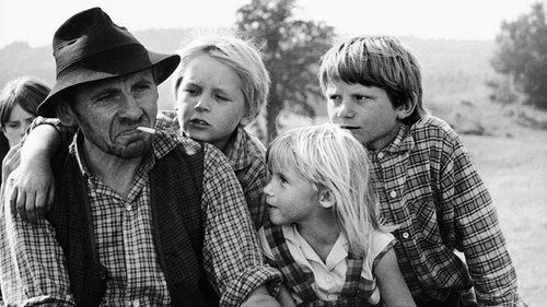 Toni, You're Crazy filmas žiurėti online