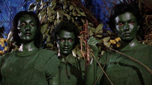 Love Slaves of the Amazons filmas žiurėti online