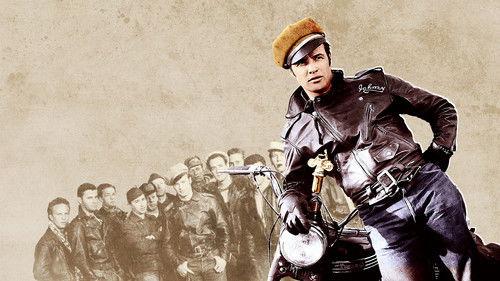 The Wild One filmas žiurėti online