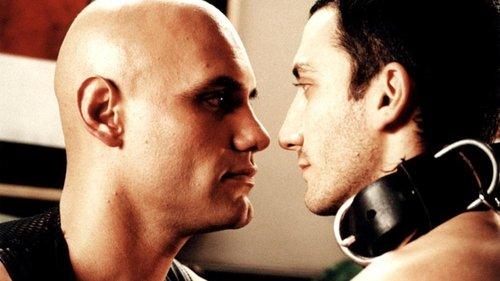 A Year Without Love filmas žiurėti online