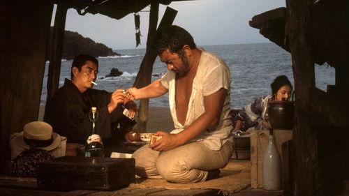 The Homeless filmas žiurėti online