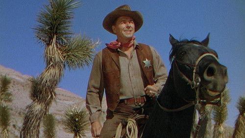 Law and Order filmas žiurėti online