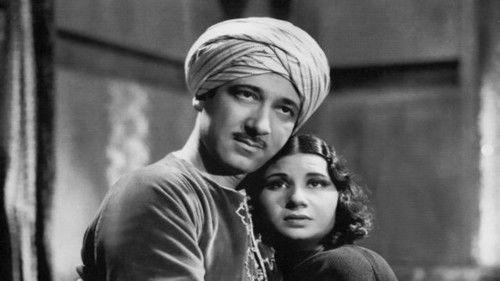 Wedad filmas žiurėti online